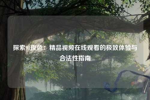 探索91夜色：精品视频在线观看的极致体验与合法性指南